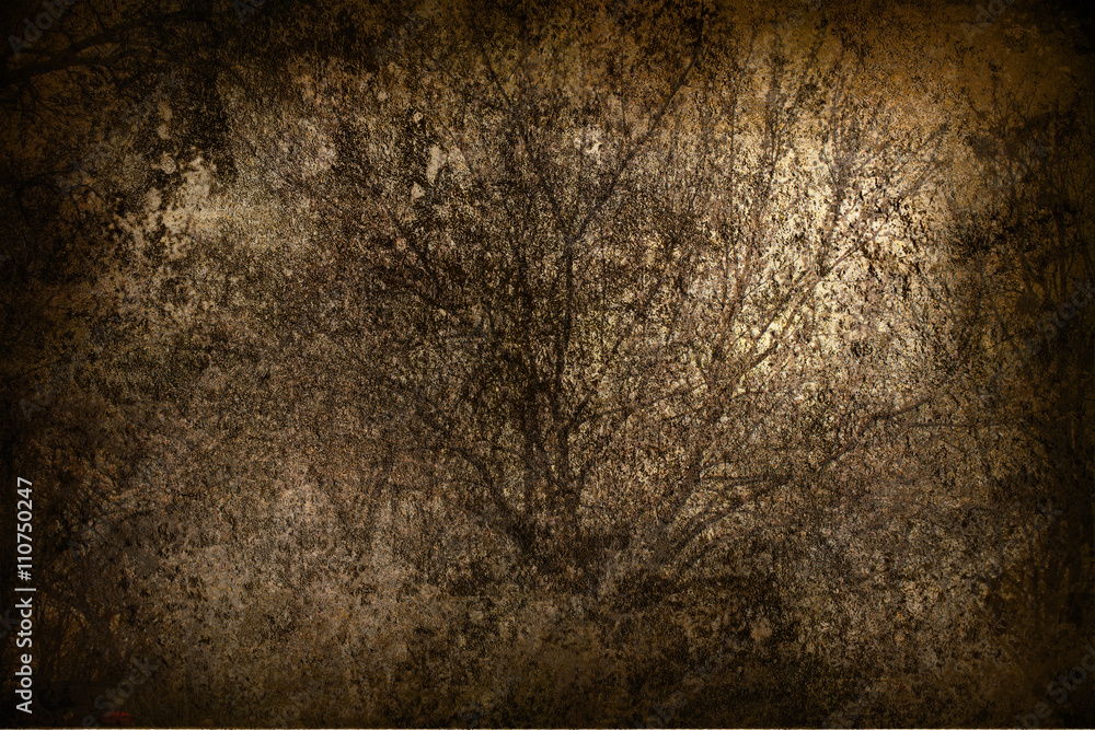 Obraz premium gray grunge vintage background with landscape