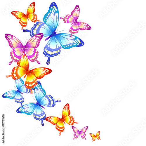 butterflies design