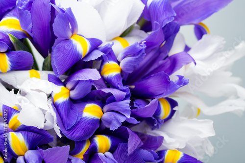 Fototapeta Naklejka Na Ścianę i Meble -  Iris flowers background, spring floral patern.