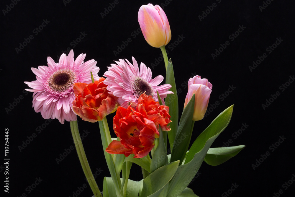 Fototapeta premium colorful bouquet of fresh spring tulips and gerbera flowers