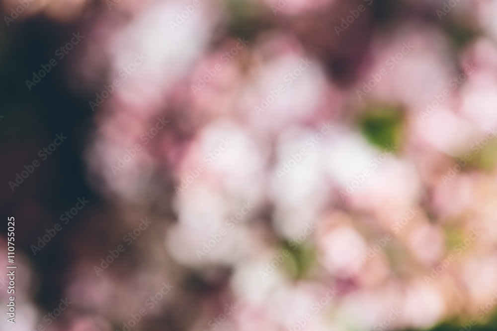 Delicate lilac flower. Toned. Delicate lilac flower. Toned.