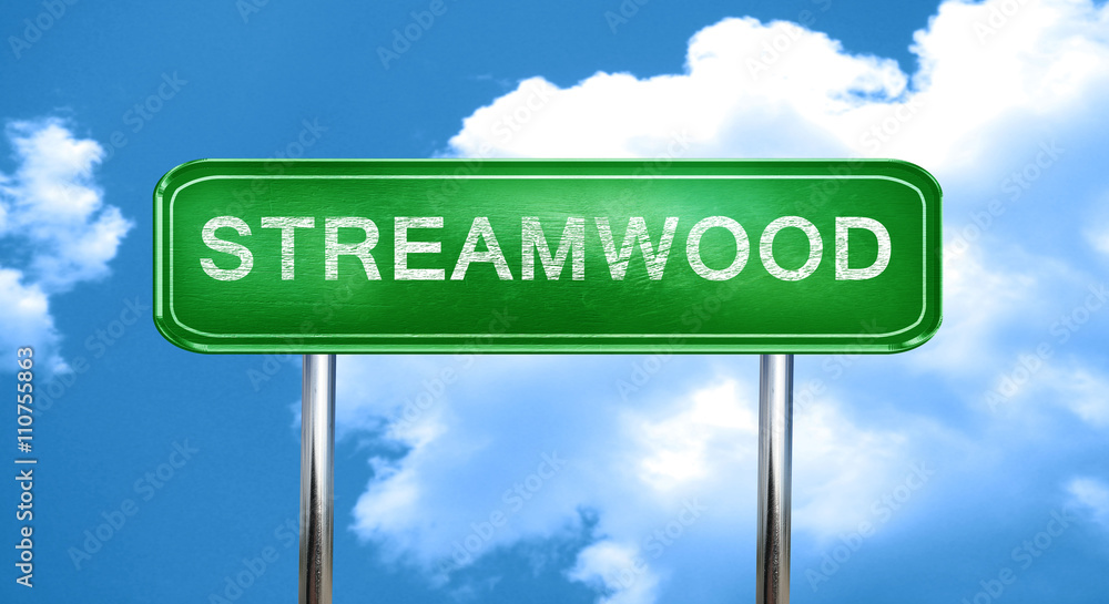 Obraz premium streamwood vintage green road sign with highlights