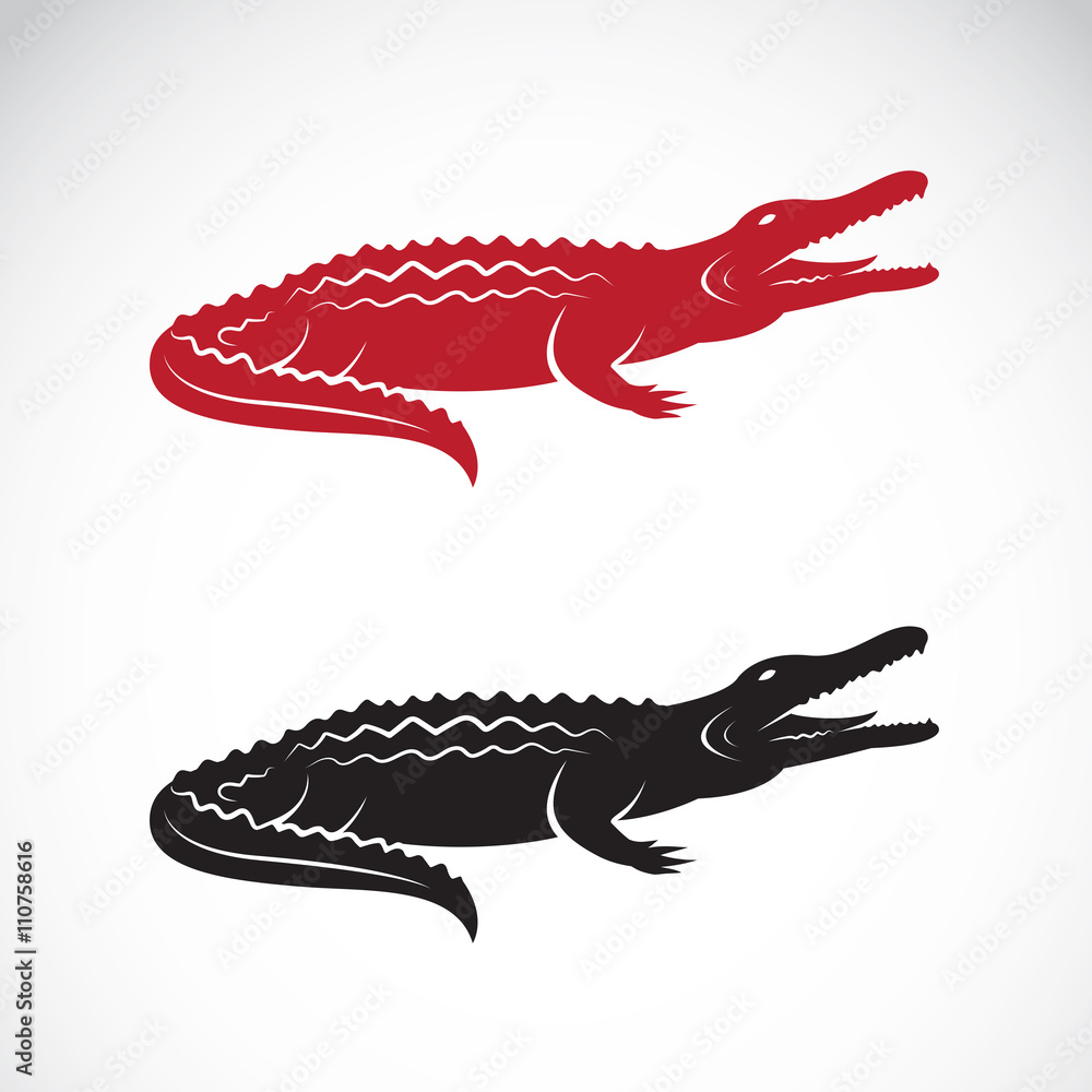 Obraz premium Vector of crocodile design on white background, Logo, Animal. Easy editable layered vector illustration.
