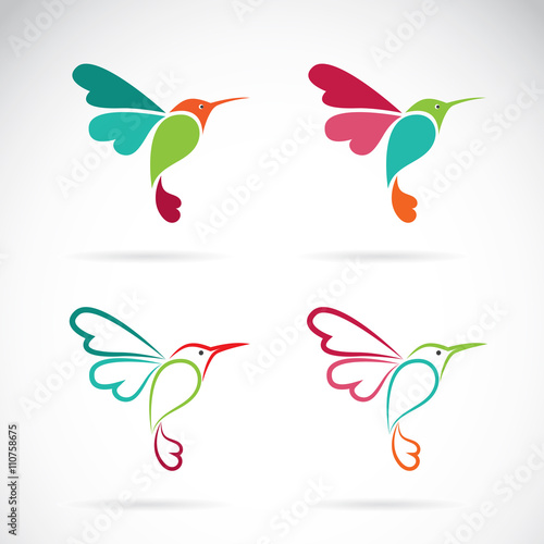 Vector image of an hummingbird design on white background, Logo,