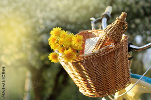 leisure on the open is beautiful/basket with dandelions and wicker bottle for a picnic in the nature