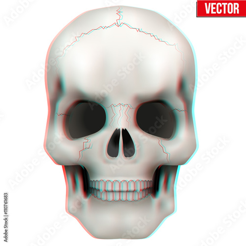 Vector Human skull with open mouth.