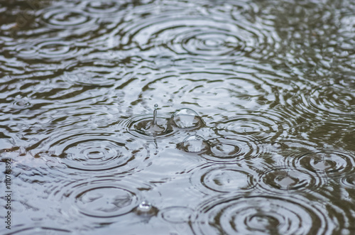 Bubbles from the rain in a puddle