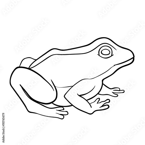 Coloring book: frog