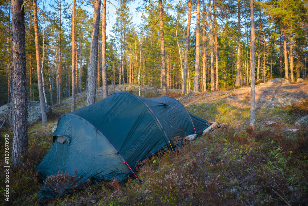 Tent camp in the forest
