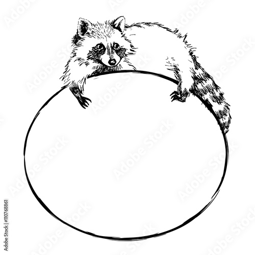 Cute raccoon lies on a round banner with blank space for text,  vector  illustration
