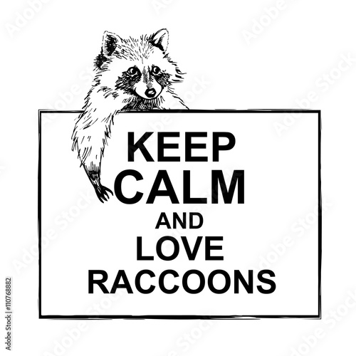 Funny and touching raccoon lies on banner keep calm and love raccoons hand drawn engrave sketch vector illustration