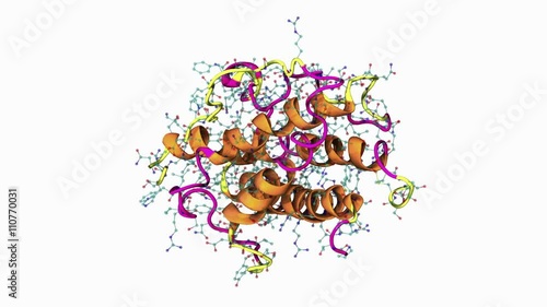 Human growth hormone photo