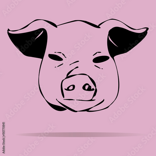 Pigs vector illustration