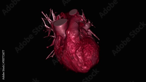 Beating human heart