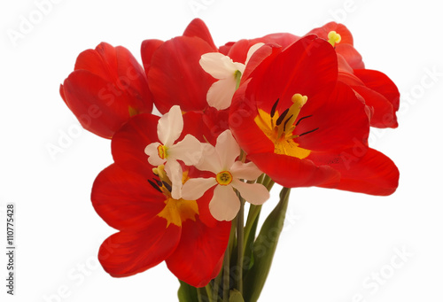 bouquet of colorful spring flowers of tulips and narcissus on a pure white background