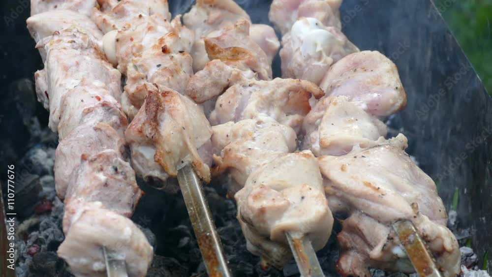 Shish Kebab on Skewers Roasted in the Coals Shish Kebab on Skewers Roasted in the Coals