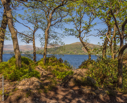 Strong Easterly wind blowing accross Lake Windermere, Claife, Cumbria, UK