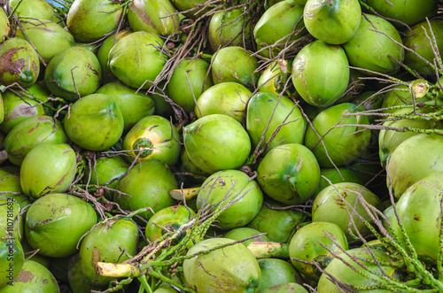 Pattern of green coconuts.