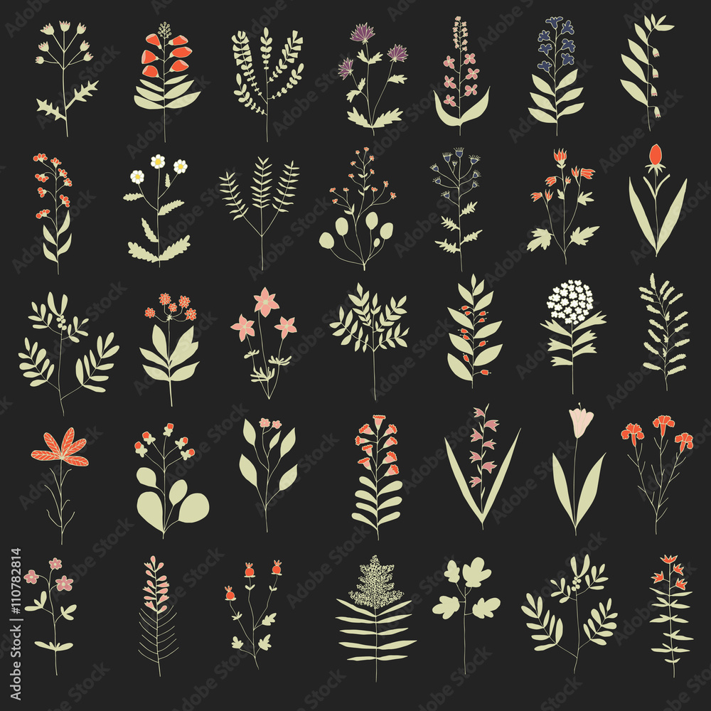 Hand drawn flowers made in vector. Big floral set of white romantic flowers on background. Isolated. Hand drawn flowers made in vector. Big floral set of white romantic flowers on background. Isolated.