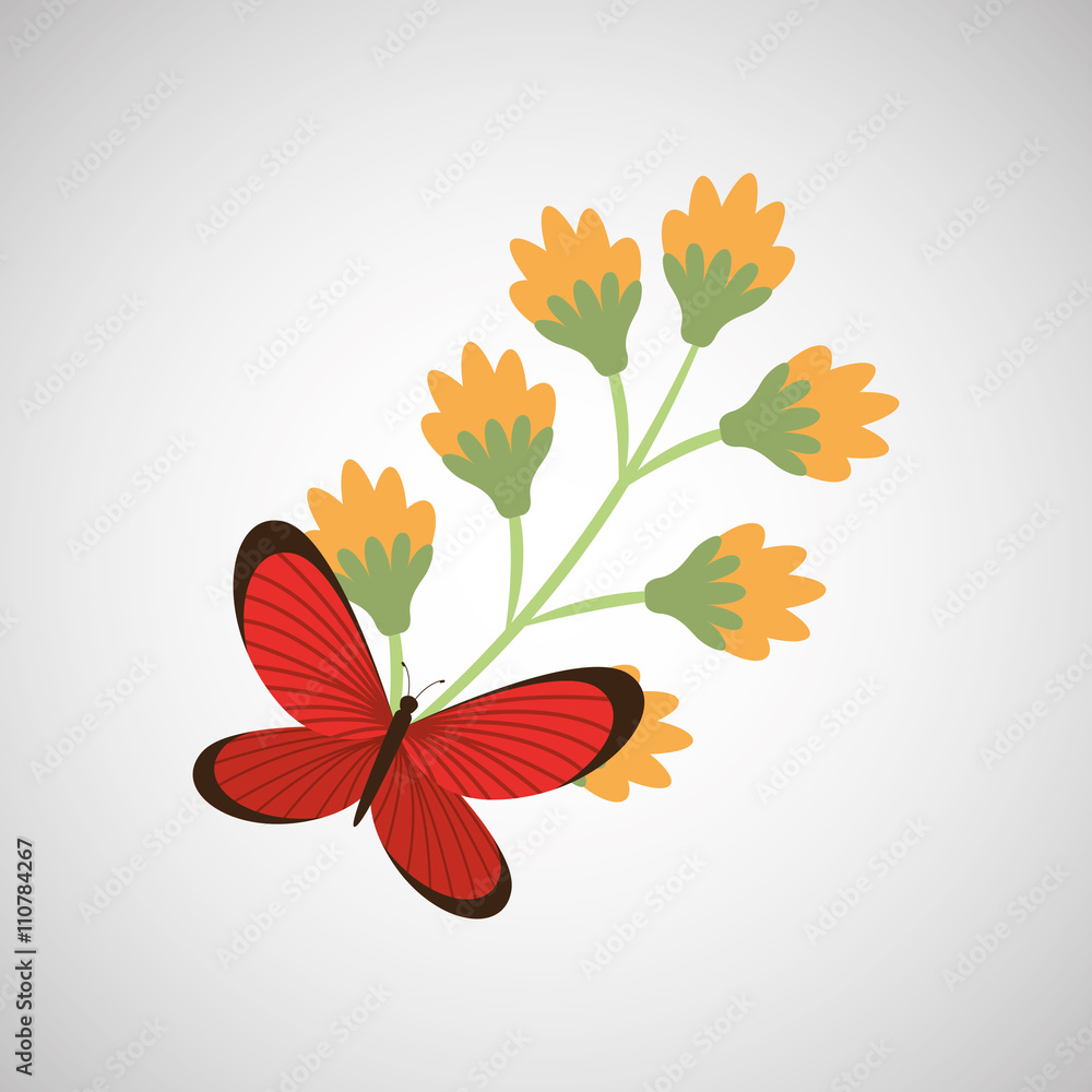 butterfly and flower design 