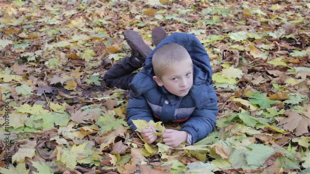 lying in the park on yellowed leaves/boy lying on the yellowed leaves in autumn park lying in the park on yellowed leaves/boy lying on the yellowed leaves in autumn park