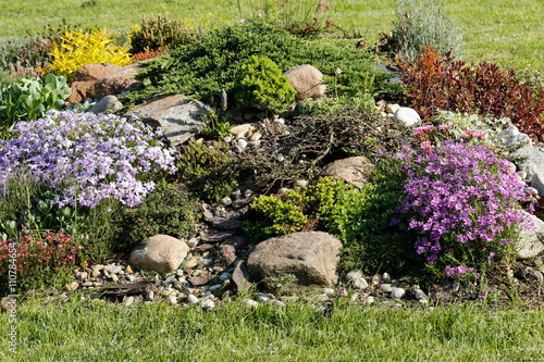 Fotografie Rock garden with blooming flowers and evergreens
