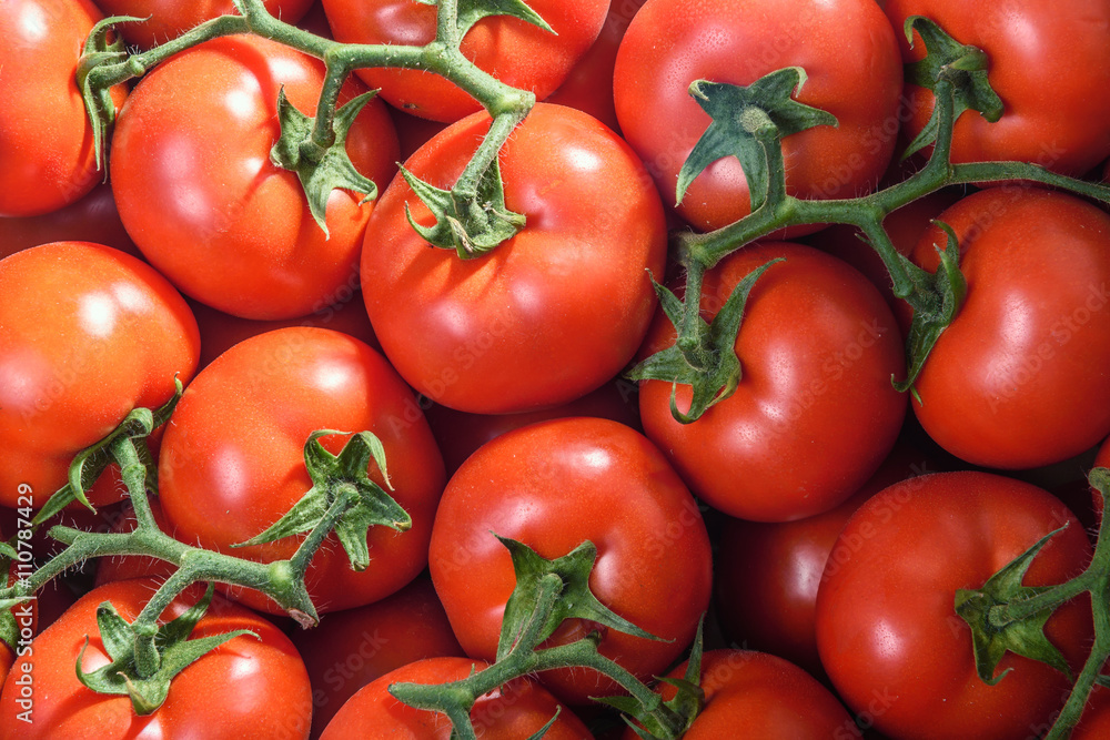 Fresh Red Tomatoes From Greenhouse