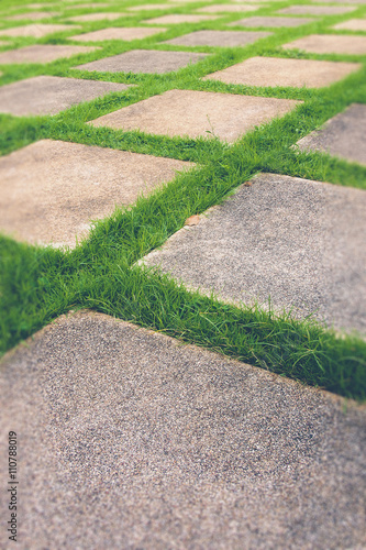 Beautiful grass tiles walk way in the garden (filter effect used