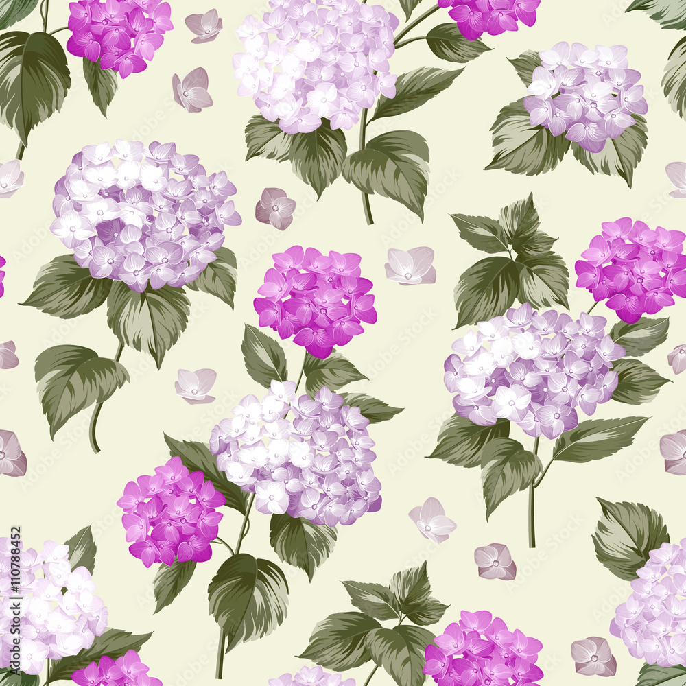 Beautiful violet flower of hydrangea. Beautiful violet flower of hydrangea.