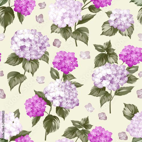 Fototapeta Naklejka Na Ścianę i Meble -  Beautiful violet flower of hydrangea.