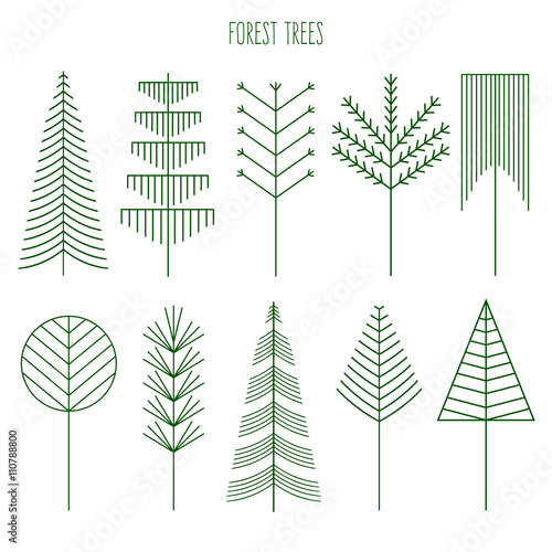 Forest trees set. Line illustration of trees. Hipster and simple modern style. Vector Illustration for print, logos, badges, emblems, labels. Forest camping. Spruce, pine, deciduous trees.