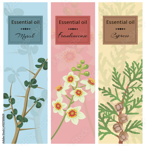 Essential oil set collection.