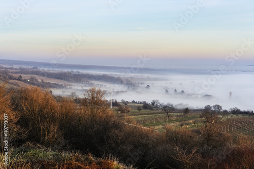 Nebel kriecht durch die Landschaft im Burgenland