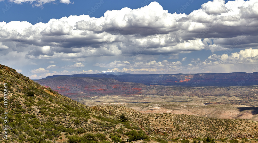 Fototapeta premium View of Mountains in Sedona Arizona