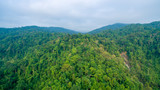 aerial top view of forest mouatain in asian Thailand