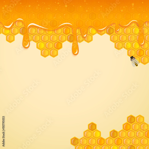 Background with honeycombs and bee. Vector.