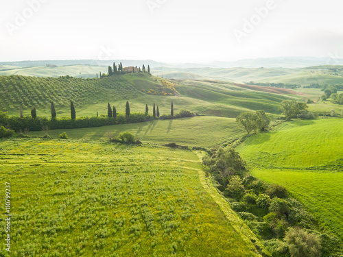 Landscape of Tuscany  hills and meadows  Toscana - Italy