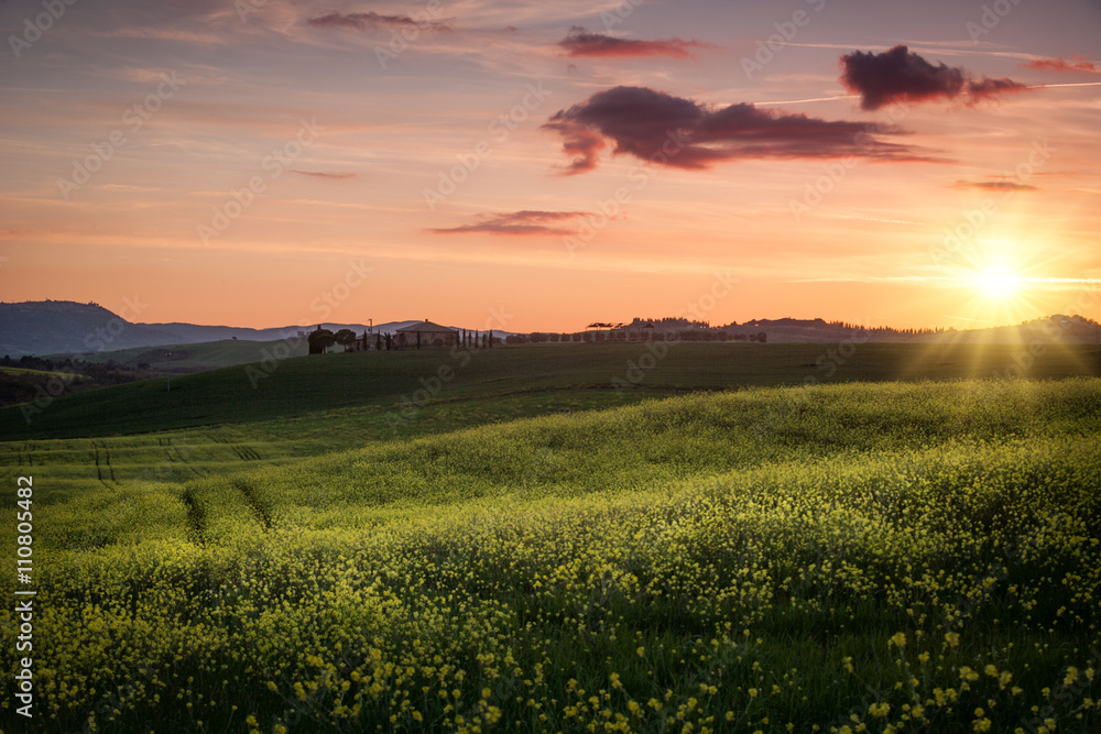 Tuscany Spring Sunset