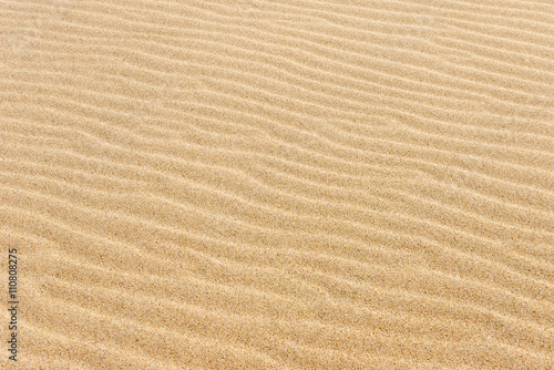 The texture of the sand