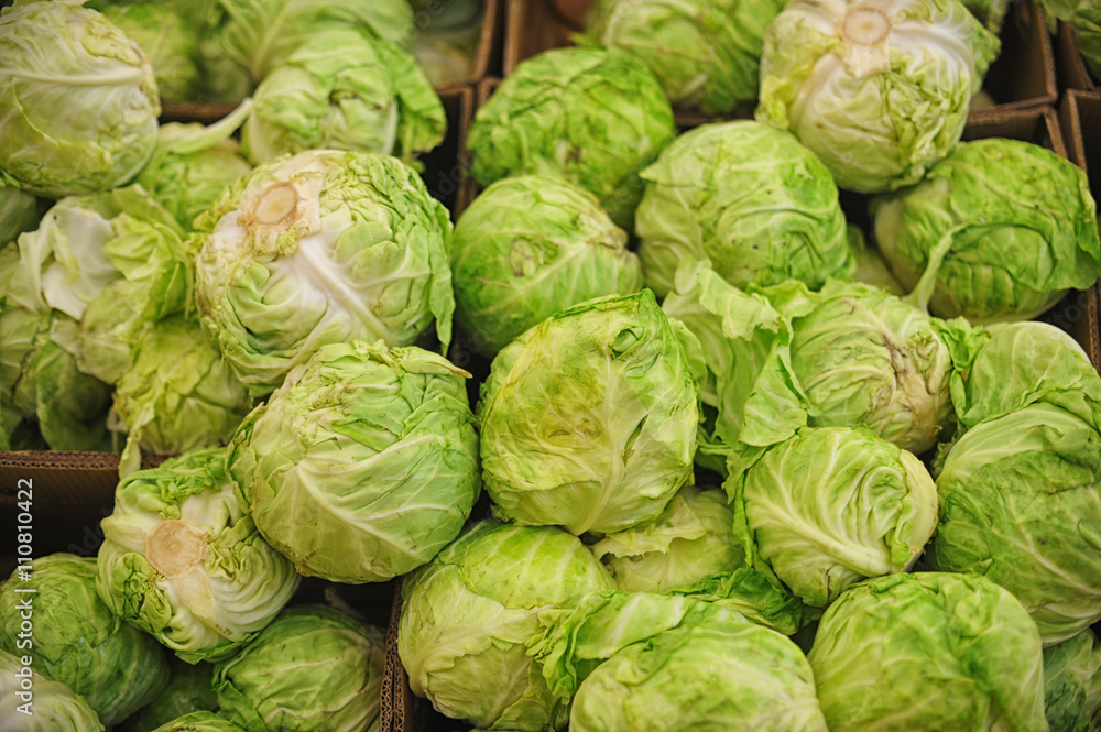 green fresh cabbage green fresh cabbage