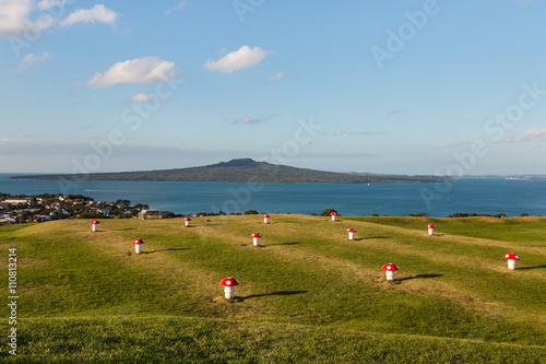 painted fly agaric mushrooms at Mount Victoria in Devonport, New Zealand photo