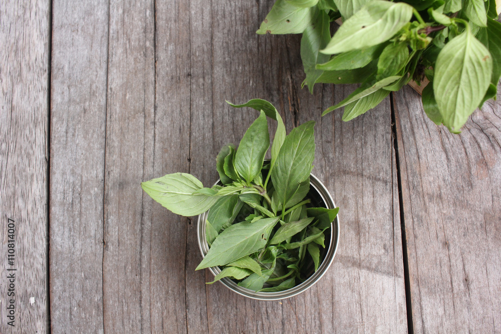 Fototapeta premium Basil leaf