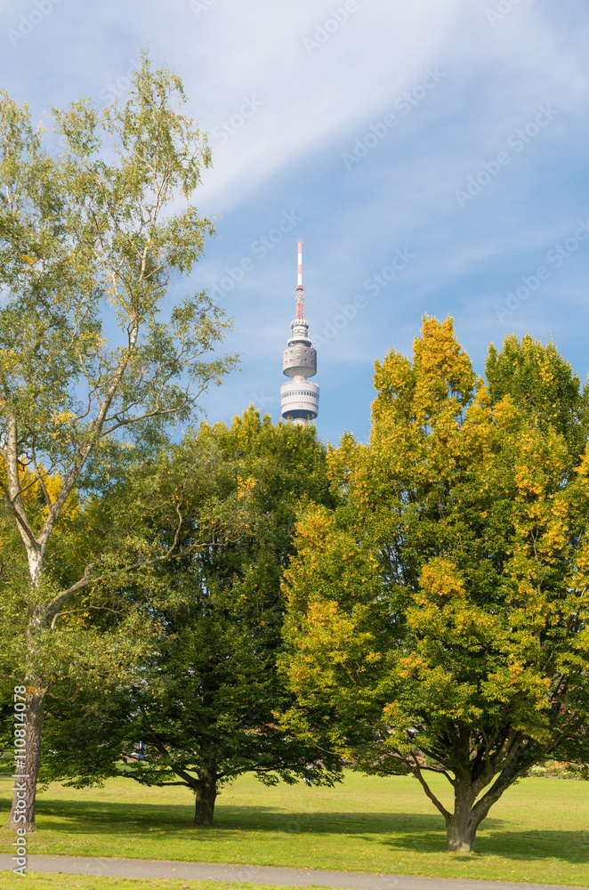 Obraz premium telecommunication tower