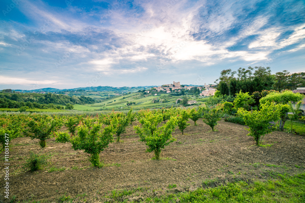 cultivated fields dominated by Castle cultivated fields dominated by Castle