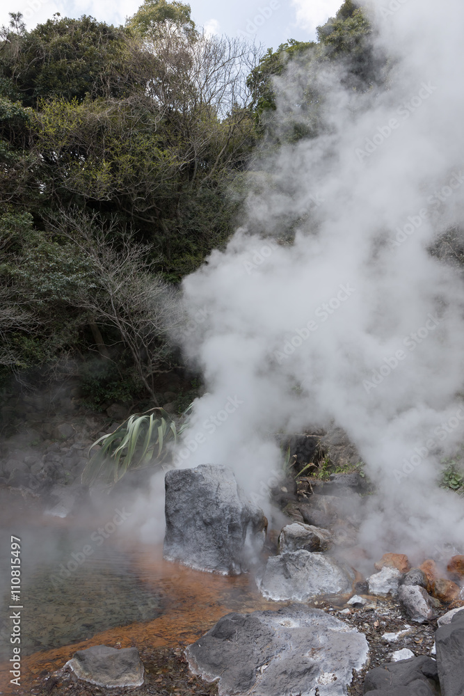 温泉（別府温泉・山地獄）