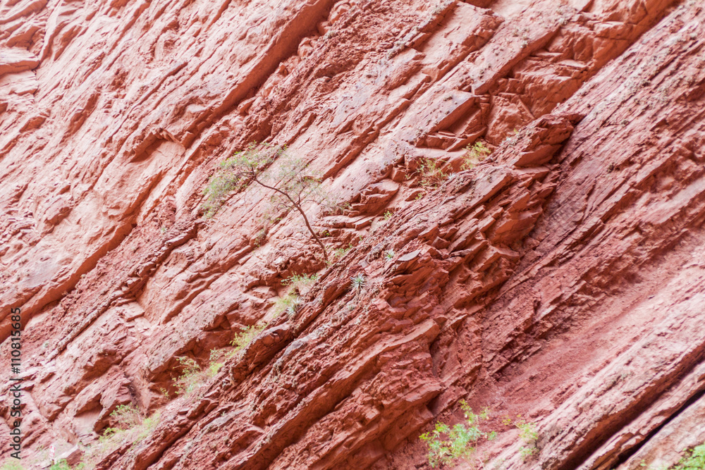 Detail of a rock formation called Garganta del Diablo (Devil's Throat) in Quebrada de Cafayate valley, Argentina