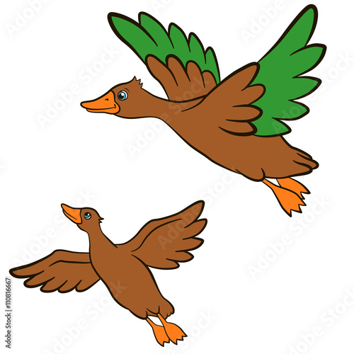 Cartoon birds for kids. Two little cute ducks flies and smiles. They are happy.