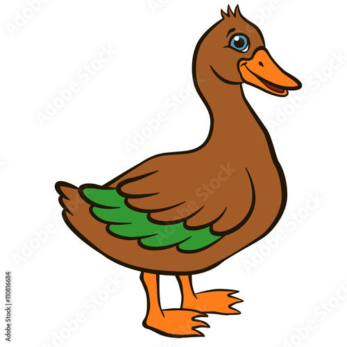 Cartoon birds for kids. Little cute duck stands and smile. It`s happy.