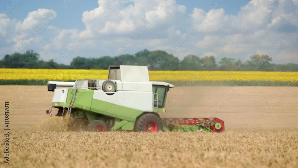Two harvesters in field. Combine harvesting. Two harvesters in field. Combine harvesting.
