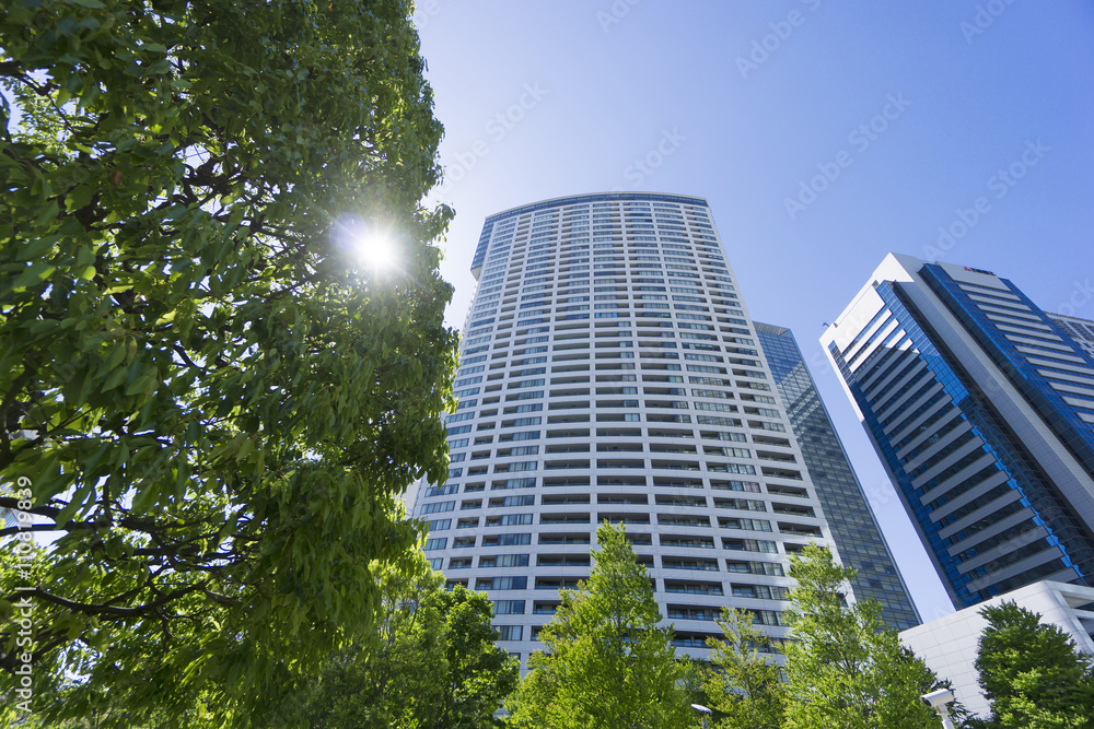 東京　品川　高層ビル街　快晴　青空　春　新緑　見上げる　太陽　木漏れ日